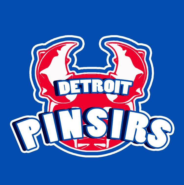 Detroit Pistons Pokemon logo DIY iron on transfer (heat transfer) Detroit Pistons Pokemon logo DIY iron on transfer (heat transfer)
